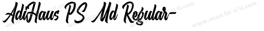AdiHaus PS Md Regular字体转换